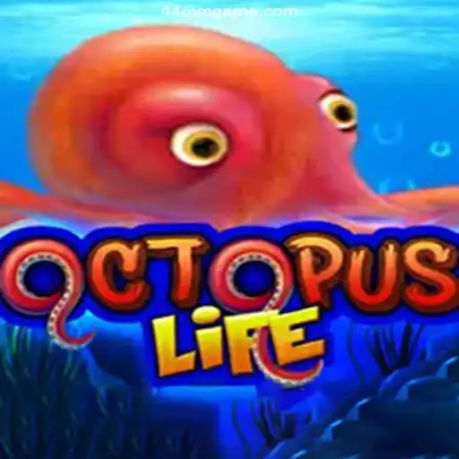 Dive into the Thrilling World of OctopusLife: An Innovative Gaming Experience